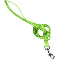 Nobleza Hondenriem - Lichtgroen - Nylon - Maat M - Lengte 120 cm - Fluorescerend - Gestipt - Groen