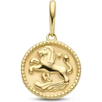 New Bling 9NBG-0275 Gouden Sterrenbeeld - Leeuw - 10 mm Doorsnee - 14 Karaat - Goud