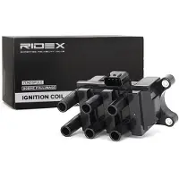 RIDEX 689C0079 Bobine
