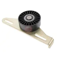 Master Sport 36091-PCS-MS Spanrol, poly V-riem