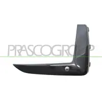 PRASCO BM0551233 Plaat, bumper