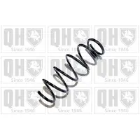 Quinton Hazell QCS7029 Chassisveer