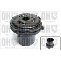 Quinton Hazell EMR4807 Veerpootlager