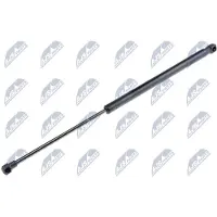 NTY AE-SE-003 Gasveer achterklep