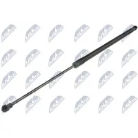 NTY AE-BM-069 Gasveer achterklep