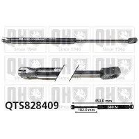 Quinton Hazell QTS828409 Gasveer achterklep