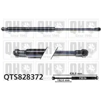 Quinton Hazell QTS828372 Gasveer achterklep