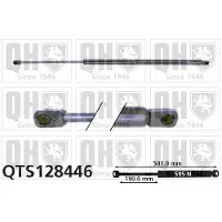 Quinton Hazell QTS128446 Gasveer achterklep