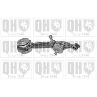 Quinton Hazell QSJ2109S Draagarm