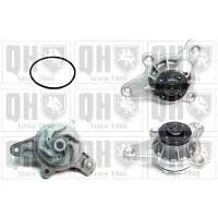 Quinton Hazell QCP3769 Waterpomp
