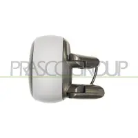 PRASCO Buitenspiegel FT9087323