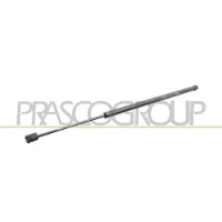 PRASCO FT0409055 Gasveer achterklep