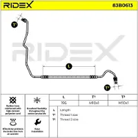 RIDEX 83B0613 Remslang