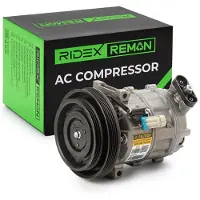 RIDEX 447K0399R Aircopomp