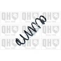Quinton Hazell QCS8972 Chassisveer