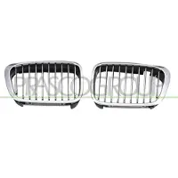 PRASCO BM0182034 Radiator grill