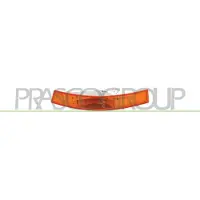 PRASCO DS9604103 Knipperlichtautomaat / Pinkdoos