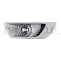 PRASCO FD1104413 Mistlamp