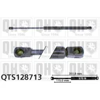 Quinton Hazell QTS128713 Gasveer achterklep