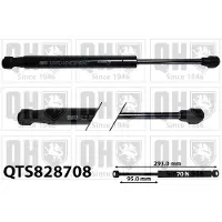 Quinton Hazell QTS828708 Gasveer, legbodem (Koffer- / Laadruimte)