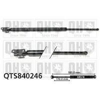 Quinton Hazell QTS840246 Gasveer achterklep