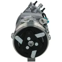 BV PSH 090.135.026.876 Aircopomp