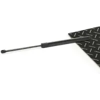 RIDEX 219G1048 Gasveer achterklep
