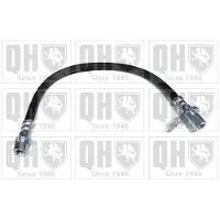 Quinton Hazell BFH5301 Remslang