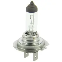 Impex 680021 Gloeilamp, verstraler