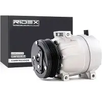 RIDEX 447K0094 Aircopomp