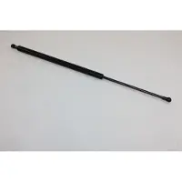 AUTOMEGA 100003110 Gasveer achterklep