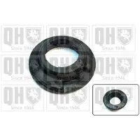Quinton Hazell EMR6108 Veerpootlager