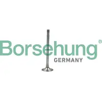 Borsehung B19007 Uitlaatklep
