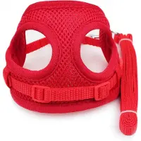 Nobleza Hondentuig met Hondenriem - Y-tuig Hond - Instaptuig - Hondenharnas - Verstelbaar Mesh - Maat M - Rood