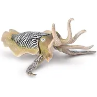 Collecta Figurine - Gewone Zeekat - Sepia - (Xl) - Zeedieren - Handgeschilderd - Miniatuur