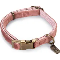 Designed By Lotte Hondenhalsband Velura