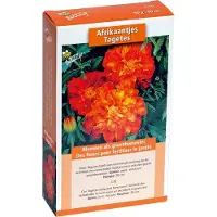 Buzzy Groenbemester Afrikaantjes (Tagetes) 50gr