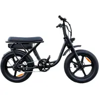 Pulse S6 Go - Elektrische Fatbike incl. kettingslot - 20 inch - 250W motor - Actieradius tot 60 km - Hydraulische schijfremmen - 650Wh accu - Lage instap - Zwart