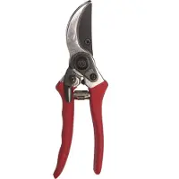 Intratuin Snoeischaar Rood