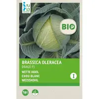 Intratuin Bioloschie Groentezaad Witte Kool (Brassica Oleracea 'Drago F1')