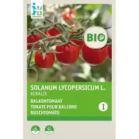 Intratuin Biologische Groentezaad Tomaat (Solanum Lycopersicum 'Koralik')