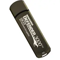 ISTORAGE - Defender 3000 – 32 GB - Hardware Encrypted USB-Stick – USB 3.0 – FIPS 140-2 Level 3 – Zwart