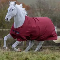 Bucas Freedom Turnout 300 Grams Cherry - 190