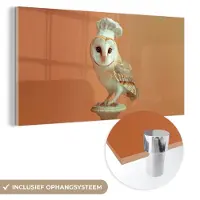 MuchoWow Glasschilderij 160x80 cm - Schilderij acrylglas - Kerkuil - Koksmuts - Oranje - Vogel - Foto op glas - Muurdecoratie woonkamer - Wanddecoratie slaapkamer - Schilderijen