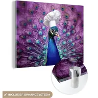 MuchoWow Glasschilderij 160x120 cm - Schilderij acrylglas - Pauw - Koksmuts - Cool - Paars - Foto op glas - Muurdecoratie woonkamer - Wanddecoratie slaapkamer - Schilderijen