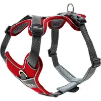 Hunter - Harness Divo - Hondentuig Hals 19-32 cm, Bauch 34-47 cm - Breite 1,5 cm, rood/grijs