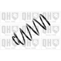 Quinton Hazell QCS6176 Chassisveer