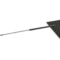 RIDEX 514G0166 Gasveer motorkap