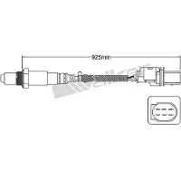 VEGAZ ULS-706 Lambdasonde