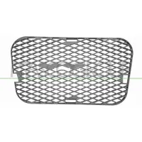 PRASCO SZ7122101 Ventilatiegrille, bumper